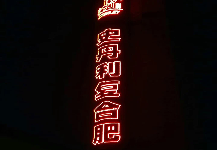 多年經驗 設計出衆